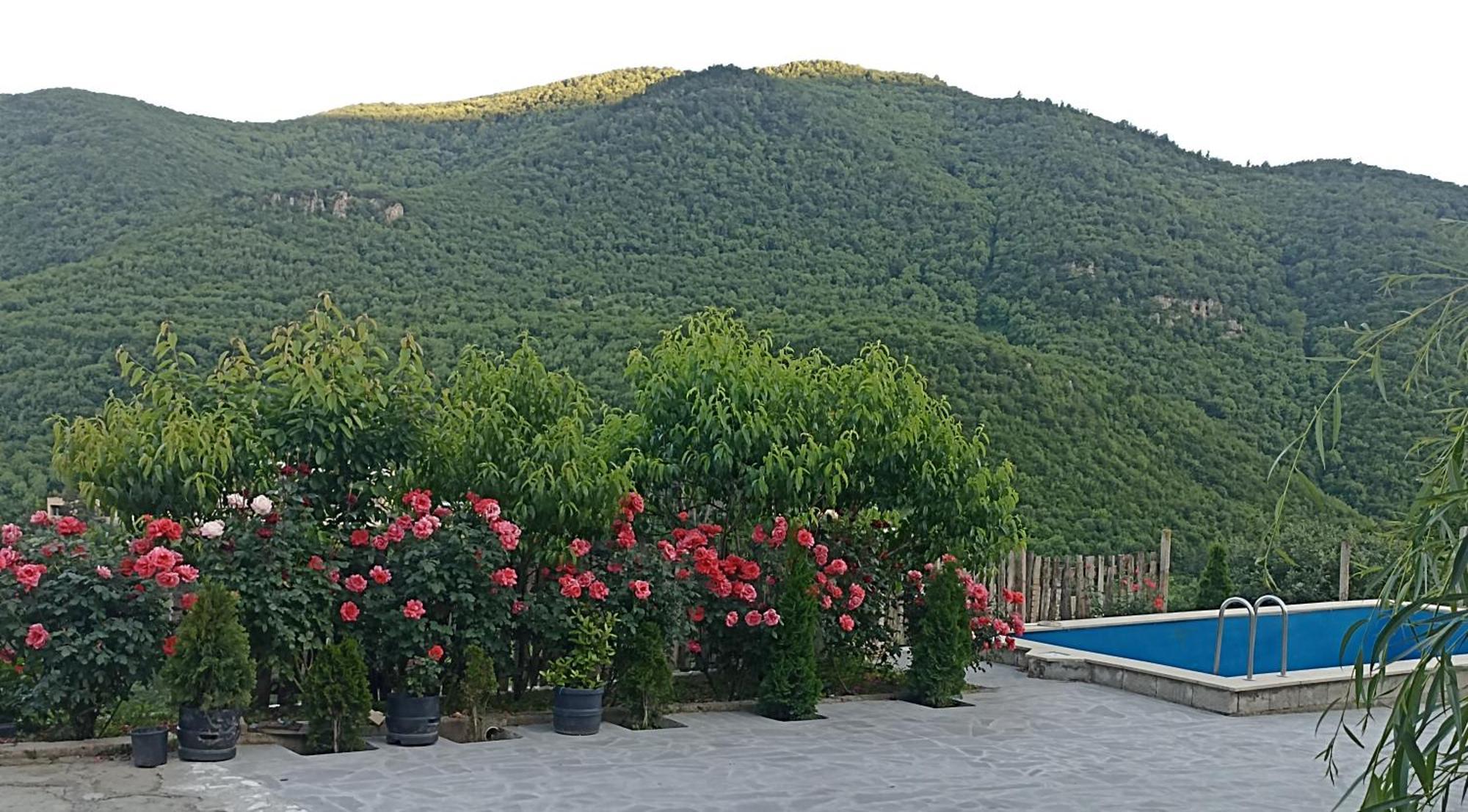 Green Garden Կանաչ Այգի Idschewan Exterior foto