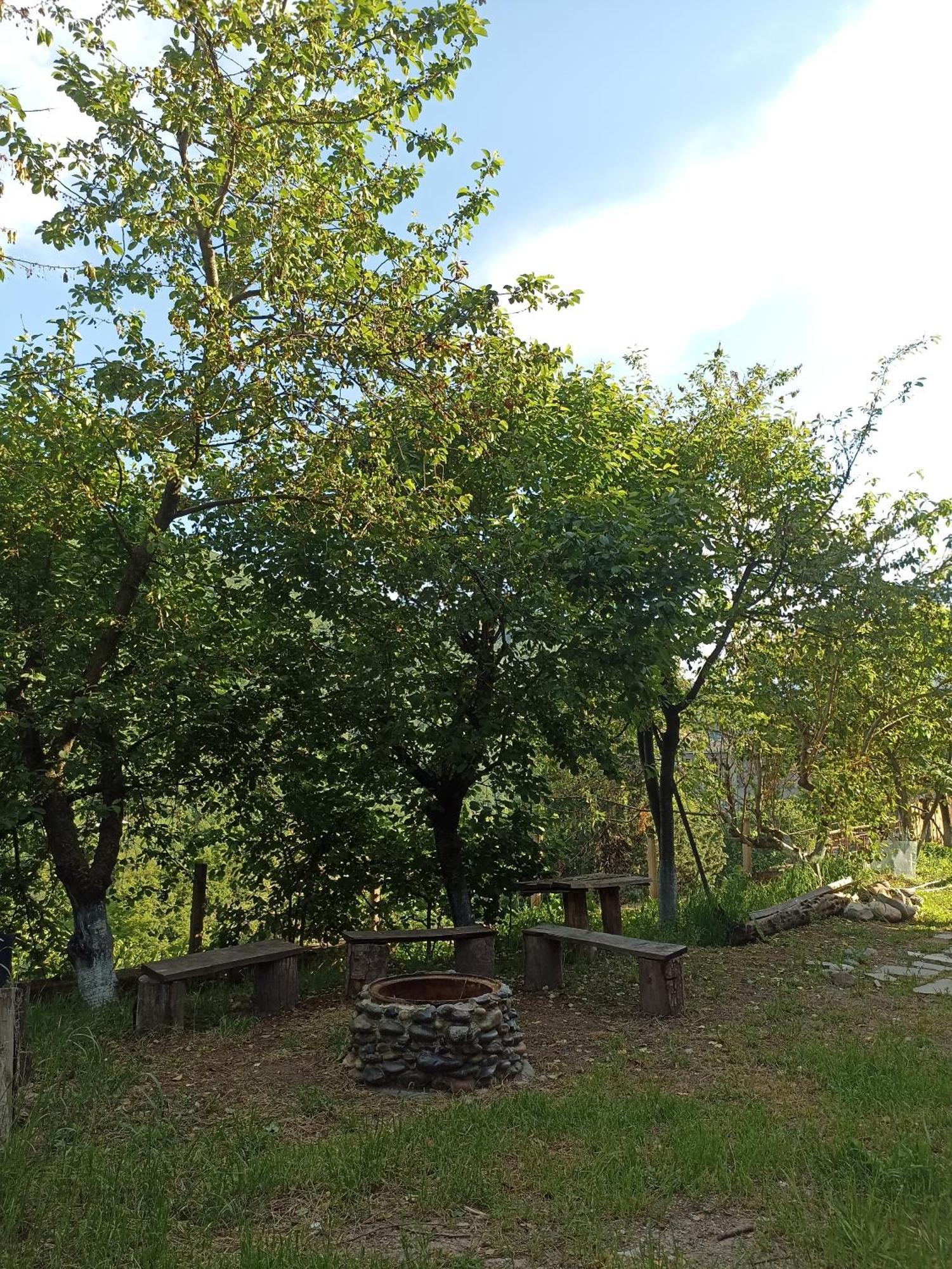 Green Garden Կանաչ Այգի Idschewan Exterior foto