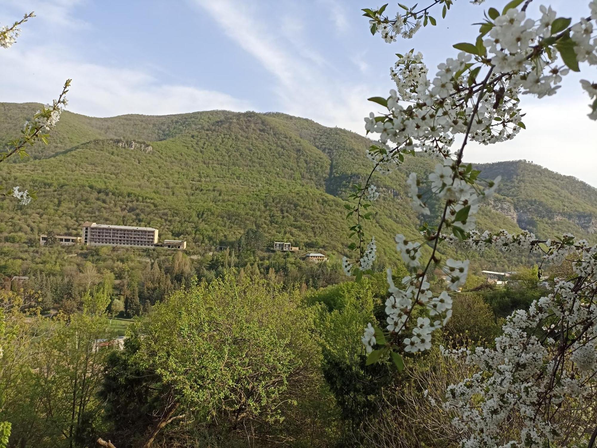 Green Garden Կանաչ Այգի Idschewan Zimmer foto